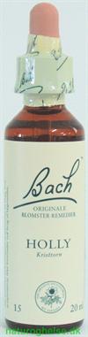Bach Kristtorn (Holly)